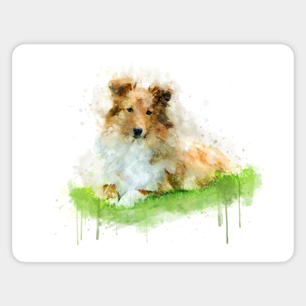 Shetland Sheepdog / sheltie Sticker by PetsArt